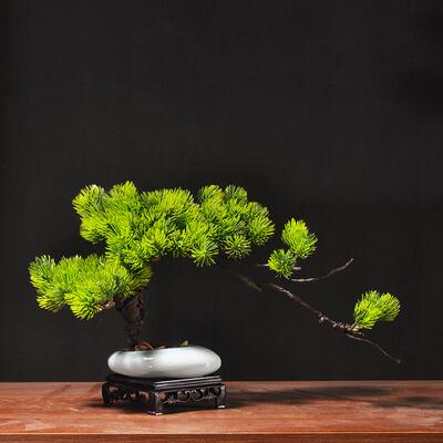 仿真迎客松盆景摆件罗汉松假树绿植崖柏树小盆栽中式酒店桌面造景