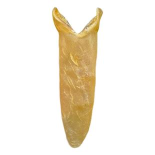 粤渔坊 正宗黄花胶筒 正品大号鱼胶干货滋补月子鱼肚鱼鳔无糖花胶