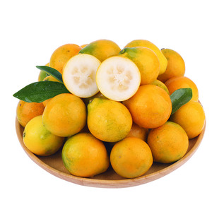 正宗第三代脆蜜金柑广西融安脆蜜金桔新鲜水果独立包装果园顺丰