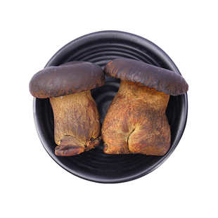【现货】新鲜黑牛肝菌500g 现摘云南当季食用牛肝菌鲜蘑菇菌鲜菌
