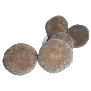 50~400克袋装化州化橘红金毛干果