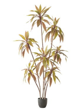 侘寂风室内仿真绿植朱蕉树客厅