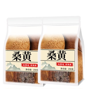 桑黄的功效中药材茶包500g正宗非西藏野生桑树桑黄茶灵芝粉泡陈皮