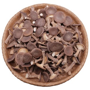 虎奶菌干货500g云南特产虎乳菌虎奶菇虎掌菌野生菌菌菇蘑菇煲汤料