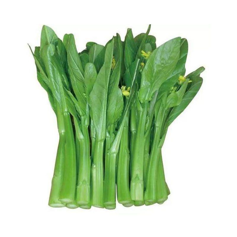 顺丰/EMS航空宁夏新鲜菜心供港蔬菜霜打菜心农家油菜应季蔬菜新鲜