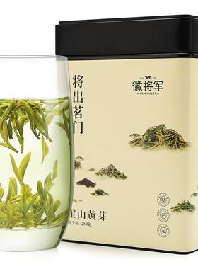 2026新茶明前霍山黄芽250g绿茶叶