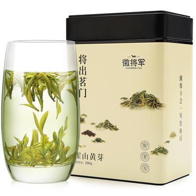 2024新茶明前霍山黄芽250g绿茶叶