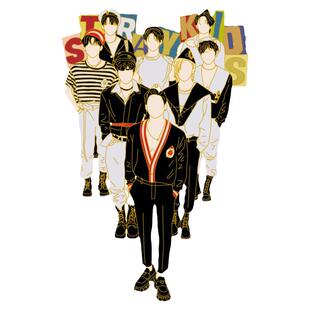 Straykids周边MAXIDENT金属徽章小卡韩知城李龙馥金昇玟梁精寅cos