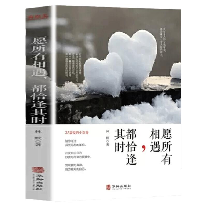 正版速发 愿所有相遇，都恰逢其时 35篇爱的小欢喜 青春正能量励志书 陪你走过兵荒马乱的年纪书籍 心灵鸡汤