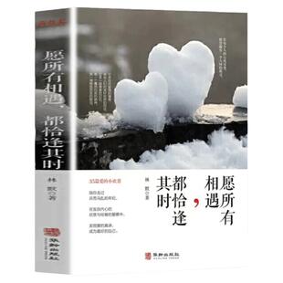 正版速发 愿所有相遇，都恰逢其时 35篇爱的小欢喜 青春正能量励志书 陪你走过兵荒马乱的年纪书籍 心灵鸡汤