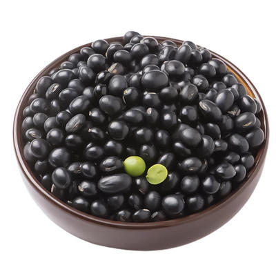 东北黑豆绿芯真空生的打豆浆发豆芽专用绿心有机黑豆新货农家自种