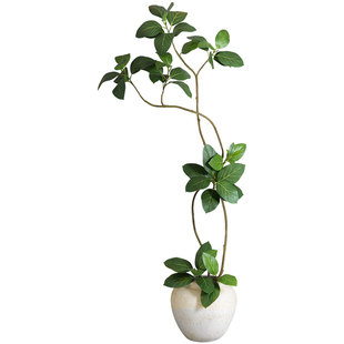 海虹雅林孟加拉榕仿真绿植客厅轻奢高级感逼真落地假树装饰摆件