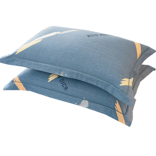 简约纯棉加厚磨毛枕套一对装48x74cm单人100全棉枕芯套冬季枕头套