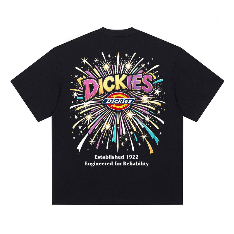 Dickies绚烂烟花短袖t恤男士
