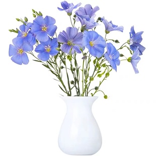 蓝花亚麻花种子室内外盆栽庭院花坛四季播易活多年生蓝紫花卉种孑