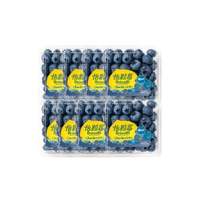 DRISCOLL'S怡颗莓蓝莓新鲜水果