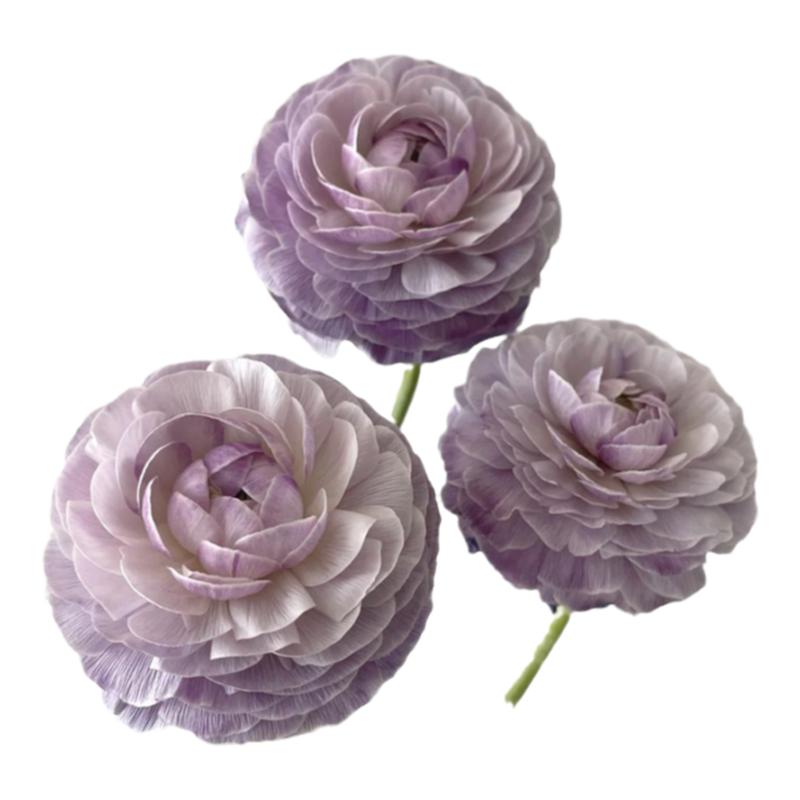 干花鲜花DIY,花艺师包邮