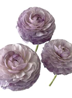 干花鲜花DIY，花艺师包邮