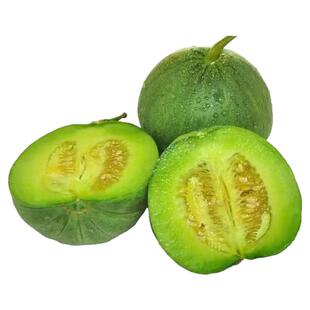 绿宝石甜瓜苗秧子籽香瓜种苗早熟羊角蜜甜瓜苗大全南北方种蔬菜苗