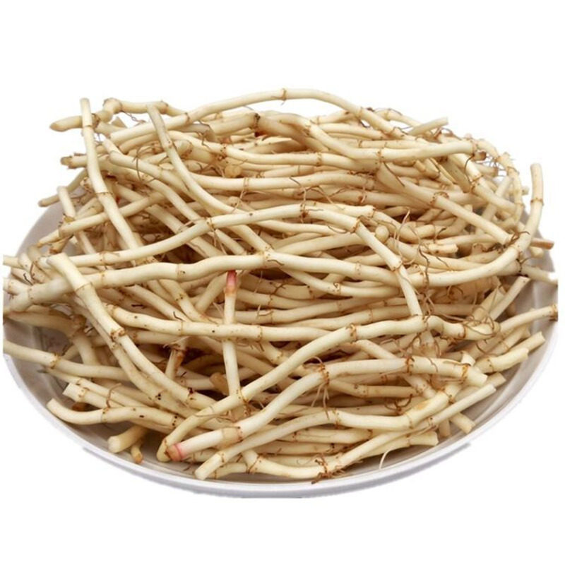 【顺丰包邮】新鲜鱼腥草嫩根野菜鱼星草折耳节节根鱼心草茶4斤装