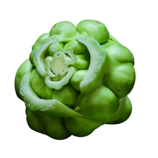 涪陵榨菜芥菜青菜头种子籽四季种植秋后过年蔬菜种籽子大全种孑子