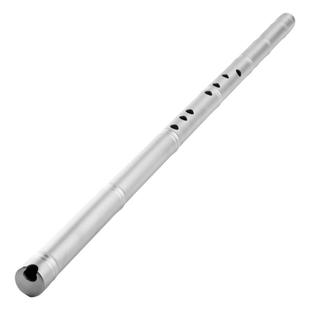 钛箫钛合金箫竹节款专业演奏一米长萧乐器纯钛金属洞箫1节8孔竹箫