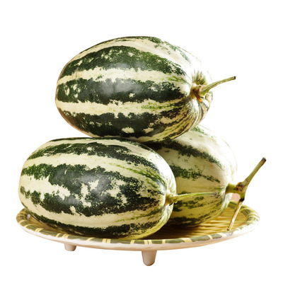 飞天九号正品春季羊角蜜甜瓜种子