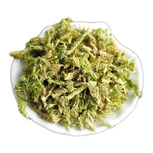 伸筋草中药材正品野生绿毛伸筋500克,石松,狮子尾,舒筋草