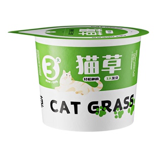 懒人泡面猫草盆栽种植猫草种子出芽快懒人水培盆子猫咪零食猫薄荷