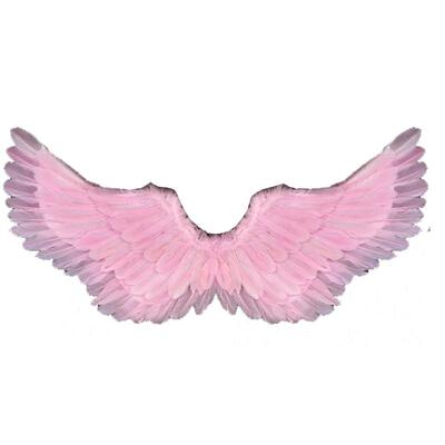 羽毛翅膀发光儿童节道具成人表演