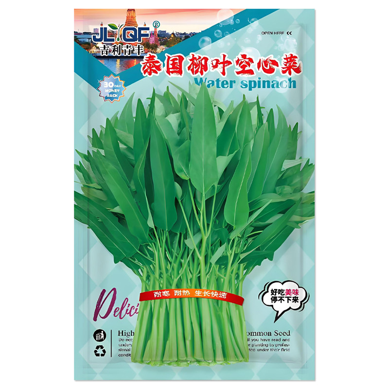 泰国柳叶空心菜种子蔬菜种子