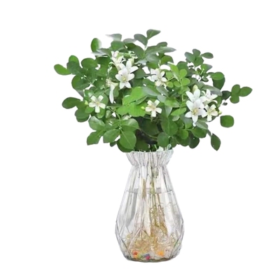 袖珍椰子盆栽富贵椰子绿植盆栽懒人 植物花卉盆景花卉好养植物