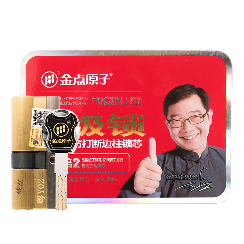 成都金点原子双叶片防盗门锁芯