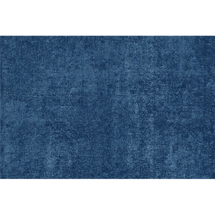 多巴胺风地毯客厅艺术风纯色卧室床边地垫蓝色毛绒免洗可擦免打理