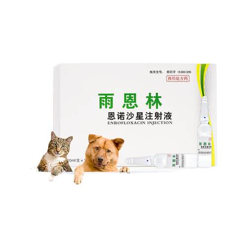 宠物恩诺沙星注射液猫咪狗狗犬用腹泻拉稀肠炎子宫炎尿道产后消炎