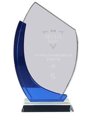水晶奖杯创意定制定做爱心志愿者儿童奖牌授权牌逆行者荣誉纪念品