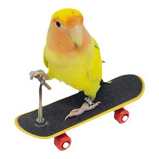 鹦鹉玩具鸟玩具滑板车解闷训练道具益智陪伴玄凤牡丹专用用品大全