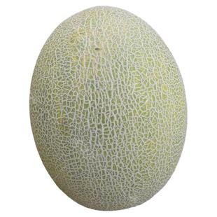 臻玉甜瓜香瓜种子厚皮哈密瓜酥脆超甜春季露地大棚含糖18度甜瓜籽