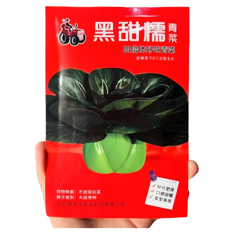 黑甜糯苏州青菜种子四倍体矮脚黑叶小青菜种籽高产抗病耐寒蔬菜种