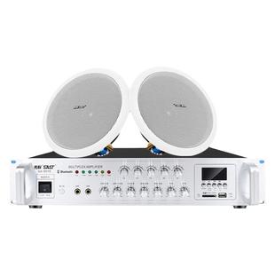 先科SA-1吸顶音箱嵌入式天花吊顶音响背景乐广播家用喇叭功放套装