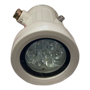 正品新黎明科技防爆视孔灯BSD96系列IIC级防爆视镜灯反应釜照明灯