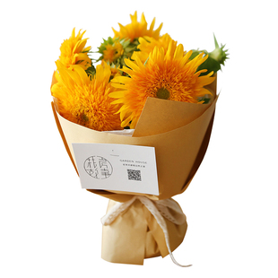 梵高向日葵进口泰迪熊鲜花速递同城杭州上海北京广州深圳花店送花