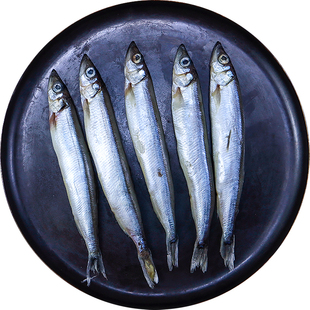 特大满籽多春鱼鲜活冷冻人吃煎炸深海带籽鱼海鲜水产烧烤食材商用