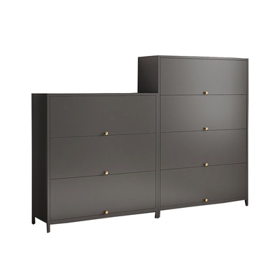 钢制鞋柜门口室内新款2024爆款