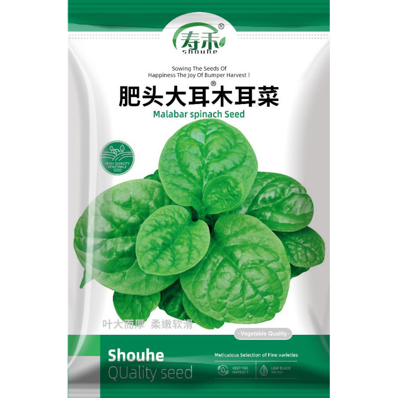 大叶木耳菜种子秧苗爬藤落葵夏天种的四季阳台盆栽各种蔬菜苗幼苗