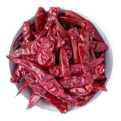 特辣干辣椒巨辣整个小红椒