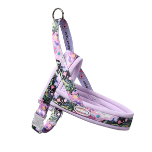 马鞍式狗狗牵引绳防挣脱不勒脖狗链柴犬泰迪胸背带中小型犬遛狗绳