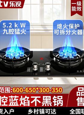 乐视燃气灶厨房家用天然气液化气灶台嵌两用定时九腔燃气灶