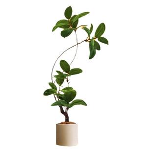 仿真绿植大型客厅落地摆件室内沙发电视柜旁边黑金刚橡皮树假植物