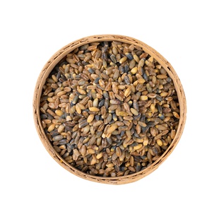 新货青稞米5斤农家自种青海特产蓝色青稞麦仁五谷杂粮粗粮包邮